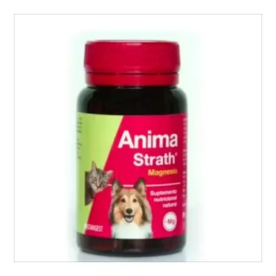 Anima-Strath Magnesio 120 Comprimidos | Energía