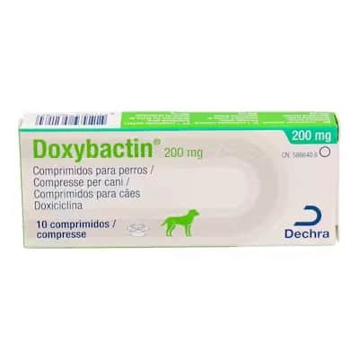 Doxybactin 200Mg | Antibiótico Oral 10 Comp
