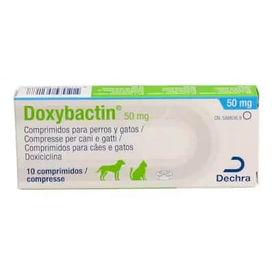 Doxybactin 50 mg | Antibiótico para Mascotas