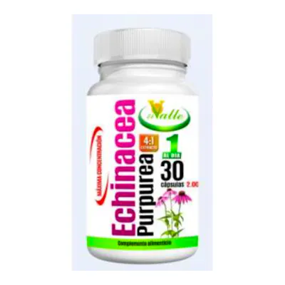 El Valle Echinacea | Defensas Naturales