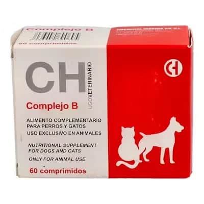 Complejo B 60 Comp | Vitaminas para Energía y Salud