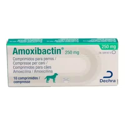 Dechra Amoxibactin 250 mg | Antibiótico Veterinario