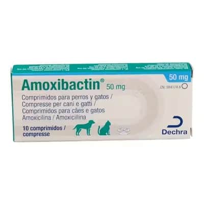 Dechra Amoxibactin 50 mg | Antibiótico Mascotas