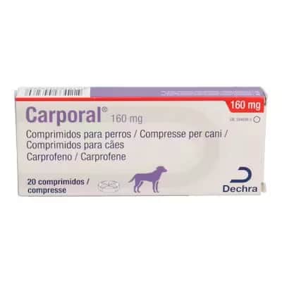 Dechra Carporal 160 mg | AINE Veterinario Perros