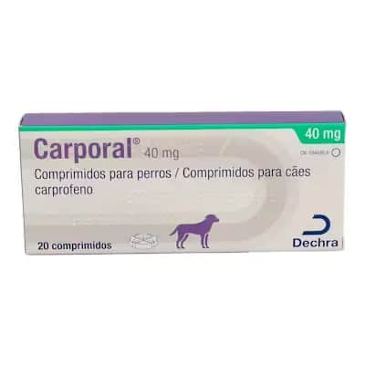 Dechra Carporal 40 mg | AINE Perros Pequeños
