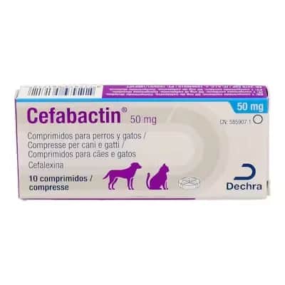 Cefabactin 50 Mg | Antibiótico Veterinario