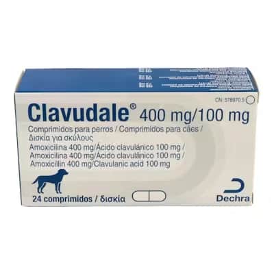 Clavudale 400/100 | Antibiótico Amoxicilina Gatos Perros