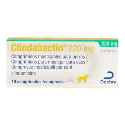 Clindabactin 220 Mg | Antibiótico Oral Veterinario