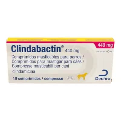 Clindabactin 440 Mg | Antibiótico Dosis Alta Veterinaria