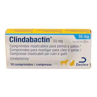 Clindabactin 55 Mg | Antibiótico Pequeños Animales