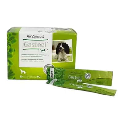 Gasteel Heel 30 Sobres Vet | Digestión