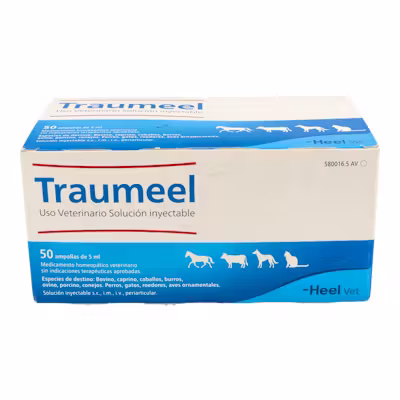 Heel Traumeel 50 Amp 5ml | Antiinflamatorio Vet
