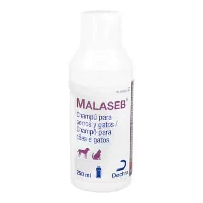 Malaseb Champú Perros Gatos | Control Infecciones Piel