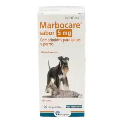 Marbocare Sabor 5 Mg Gatos Y Perros | Antibiótico