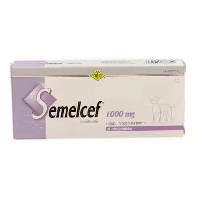 Semelcef 1000mg - Antibiótico Perros y Gatos
