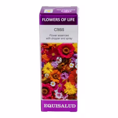 Flower Of Life Crisis | Relajación y Bienestar