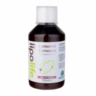 Equisalud Lipolife Carnosina 250ml - Salud Muscular y Cerebral
