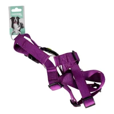 Arnés Miami Violeta 25mm - Perros 75-100cm