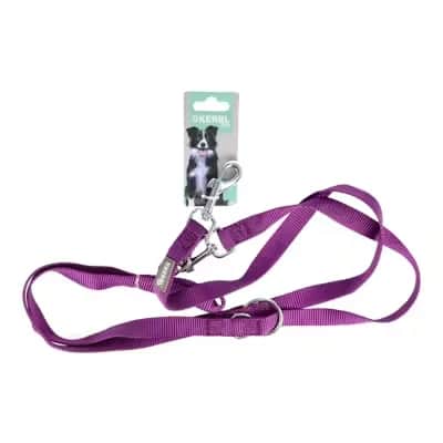 Correa Guía Perro Miami Kerbl | Paseos Seguros