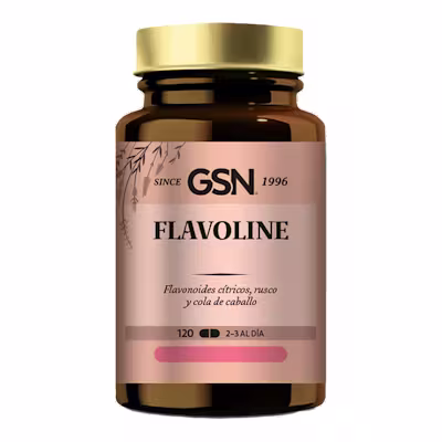 GSN Flavoline 120 comprimidos - Circulación Vascular