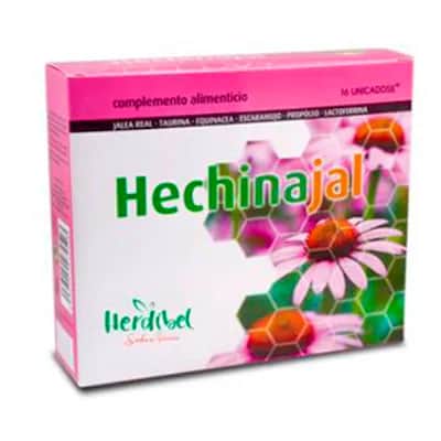 Herdibel Hechinajal 16 - Defensas y Energía