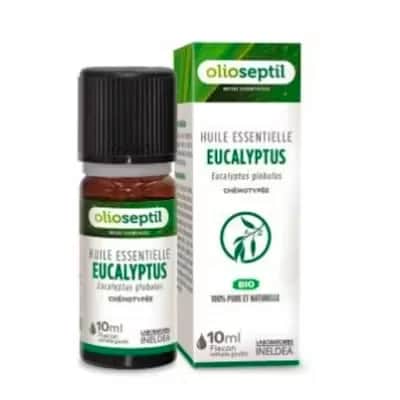 Eucalipto Aceite Esencial 10ml Bio | Descongestionante