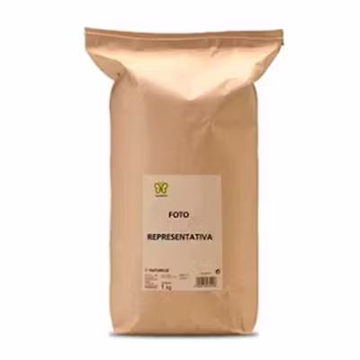 Naturcid Zaragatona | Tránsito intestinal