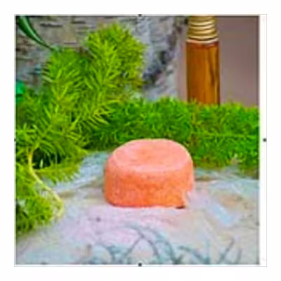 Nitx Champú Sólido Volumen 85g