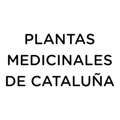 Plameca Hinojo 40 Cápsulas | Digestión y Bienestar