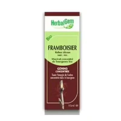 Herbalgem Frambueso Macerado | Bienestar Menstrual