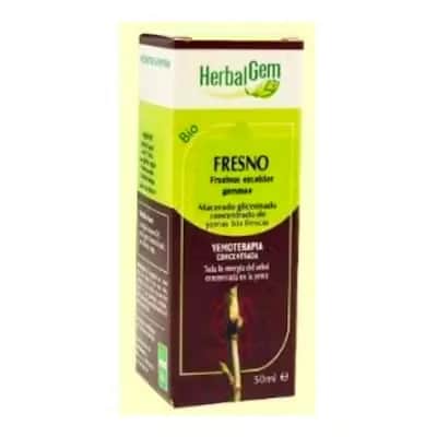 Herbalgem Fresno Macerado | Drenaje Urinario Natural