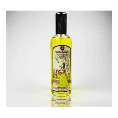 Ambientador Canela Naranja - Natural Radhe Shyam