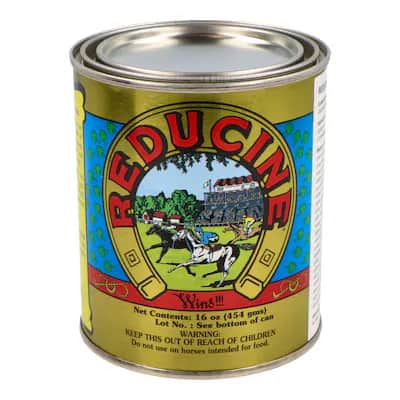 Reducine Absorbent 454 Gr Vet | Casco