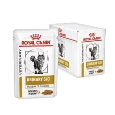 Royal Canin Urinary S/O Gatos | Salud Urinaria