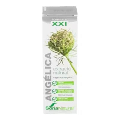 Extracto Angélica Siglo XXI - Digestión Natural