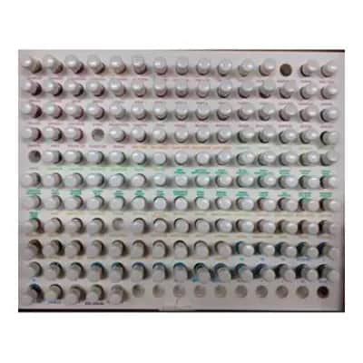 Terpenic Evo Kit Kinesiológico - Vendas Elásticas