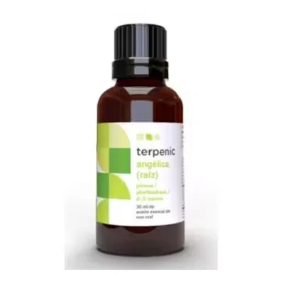 Terpenic Evo Angelica - Aceite Esencial