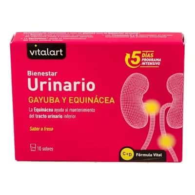 Vitalart Bienestar Urinario 10 Sob | Sistema Urinario